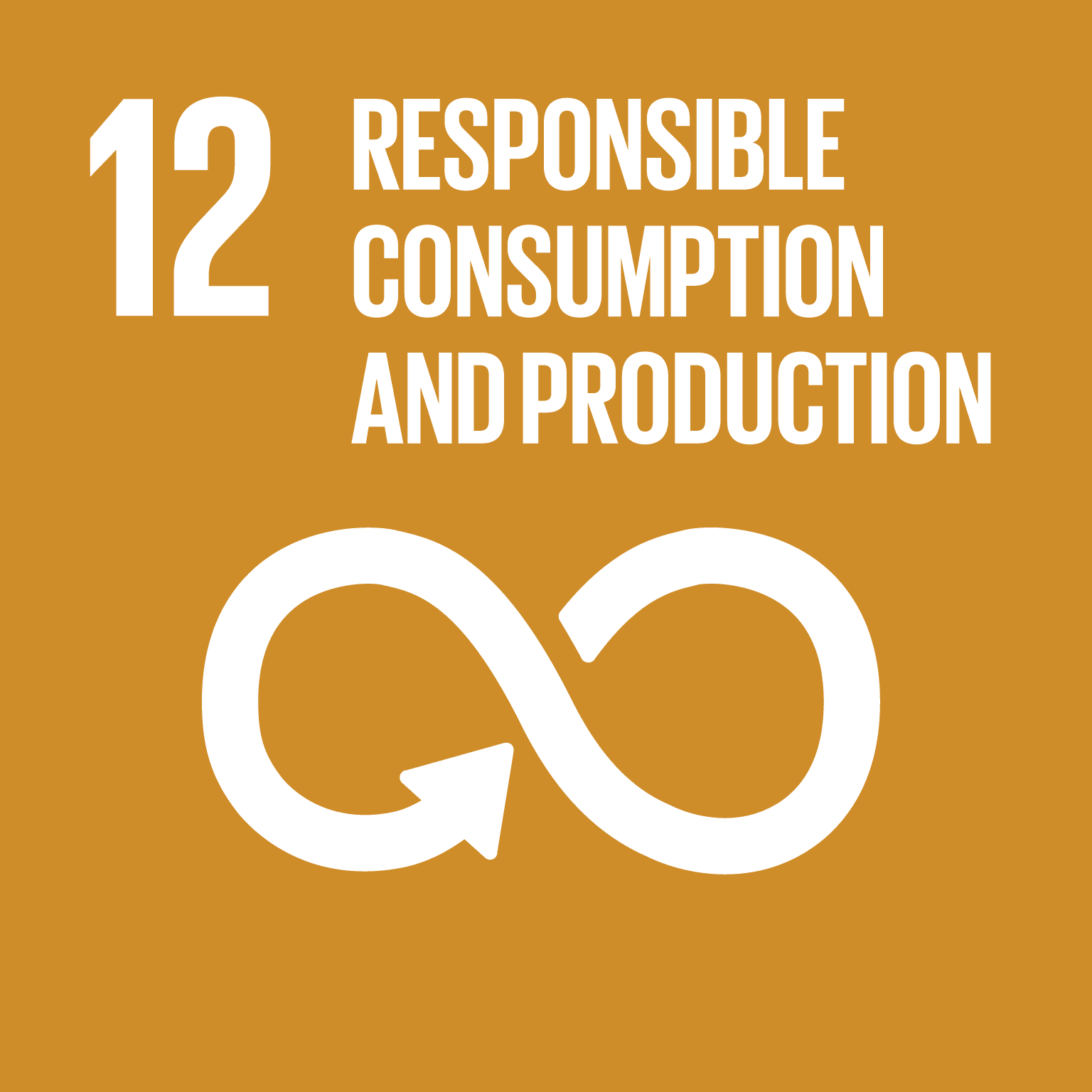 ODS 12 — consumo responsável